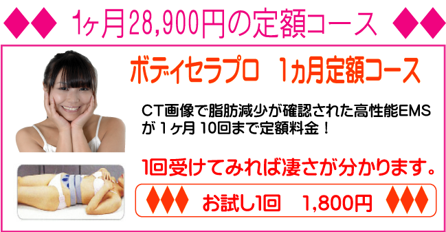 定額制ダイエット。CT画像で脂肪・内臓脂肪が減少の痩身効果が確認された高性能EMSが1ヵ月10回まで利用可。お試しもお得