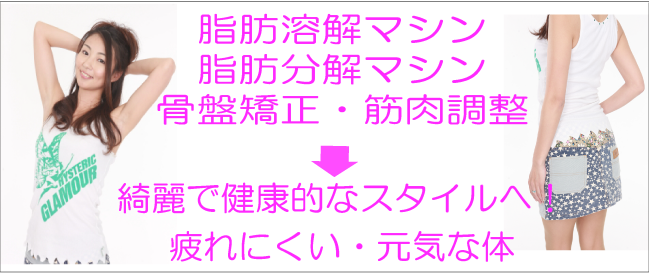 エステ+整体で歪みを取って、代謝を上げてサイズダウン。エステと骨盤矯正の効果でダイエット。リンパマッサージで身体と気分もスッキリ気持ちいい感じです。基本的に女性用です。