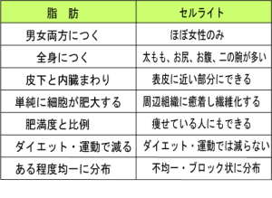 セルライトと脂肪の違い
